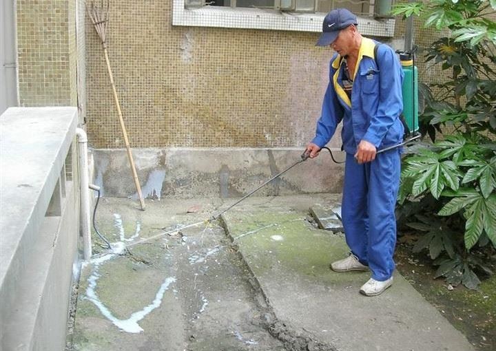 深圳白蚁防治所 灭白蚁消杀除四害公司，全深圳上门服务