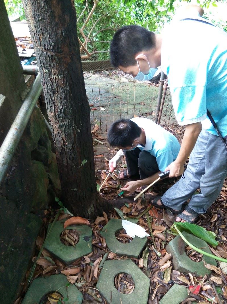 龙华白蚁公司 上塘-龙胜-三联-清湖-油松 白蚁灭治预防白蚁