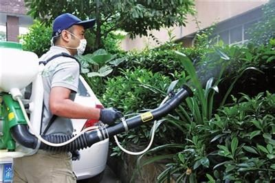 深圳消杀公司 龙岗除虫除蚁 宝安灭四害 南山抓蛇捅